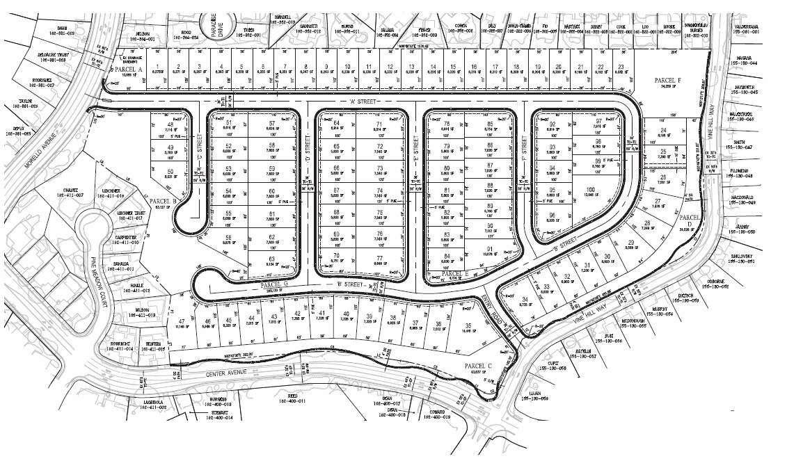 Pine Meadow Open Space